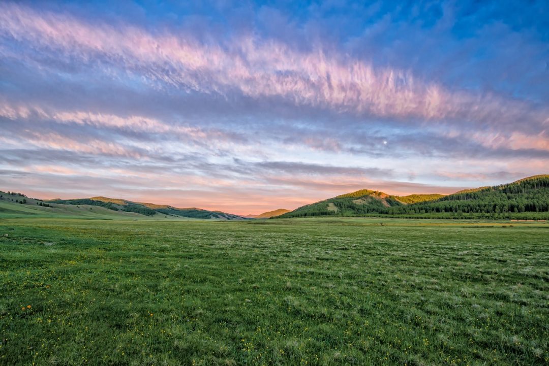 green storytelling, paesaggio